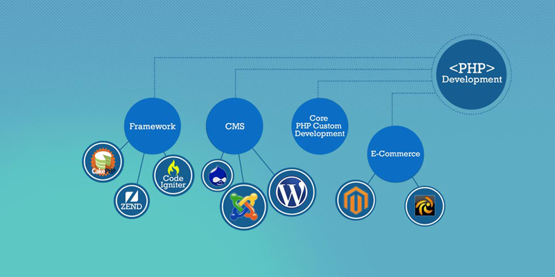 Best CMS Development services in India